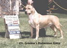 AM.CH.GRIMLOC'S RADACIOUS GILDA (U.S.A.)